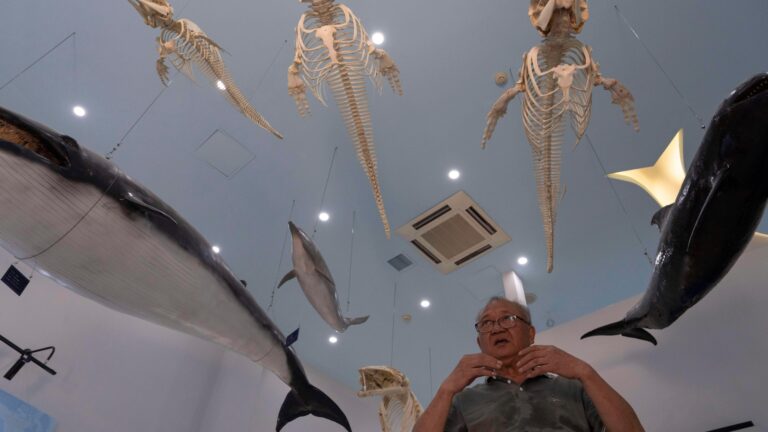 Photos show scientists breeding rare and endangered animals in China’s longest river