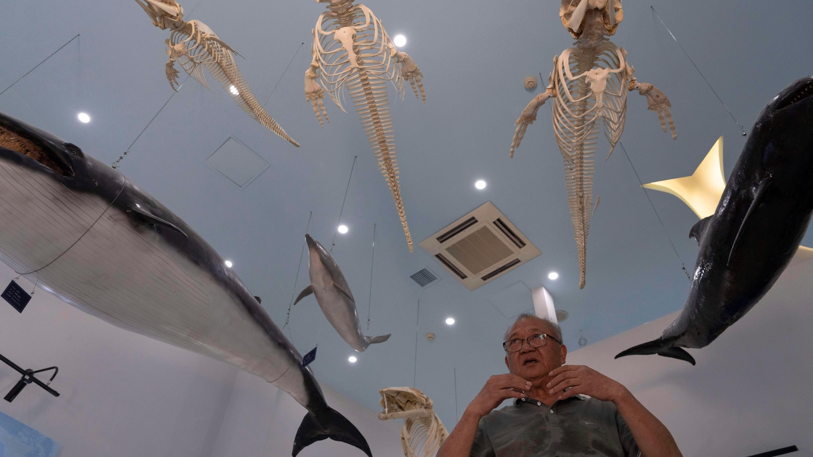 Photos show scientists breeding rare and endangered animals in China’s longest river