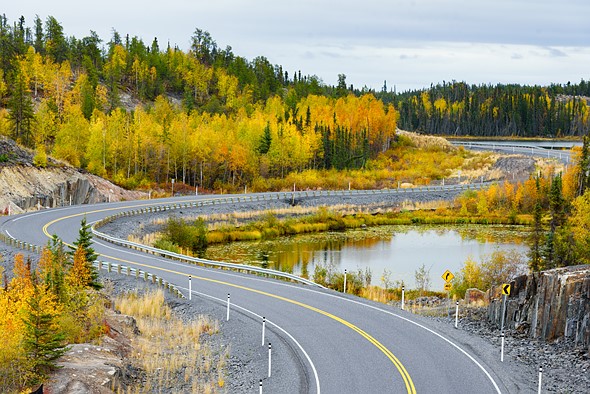 A_winding_highway_curves_through_bright_yellow_autumn_trees_beside_a_calm_pond_along_the_Ingraham_Trail_near_Yellowknife__Northwest_Territories.jpeg