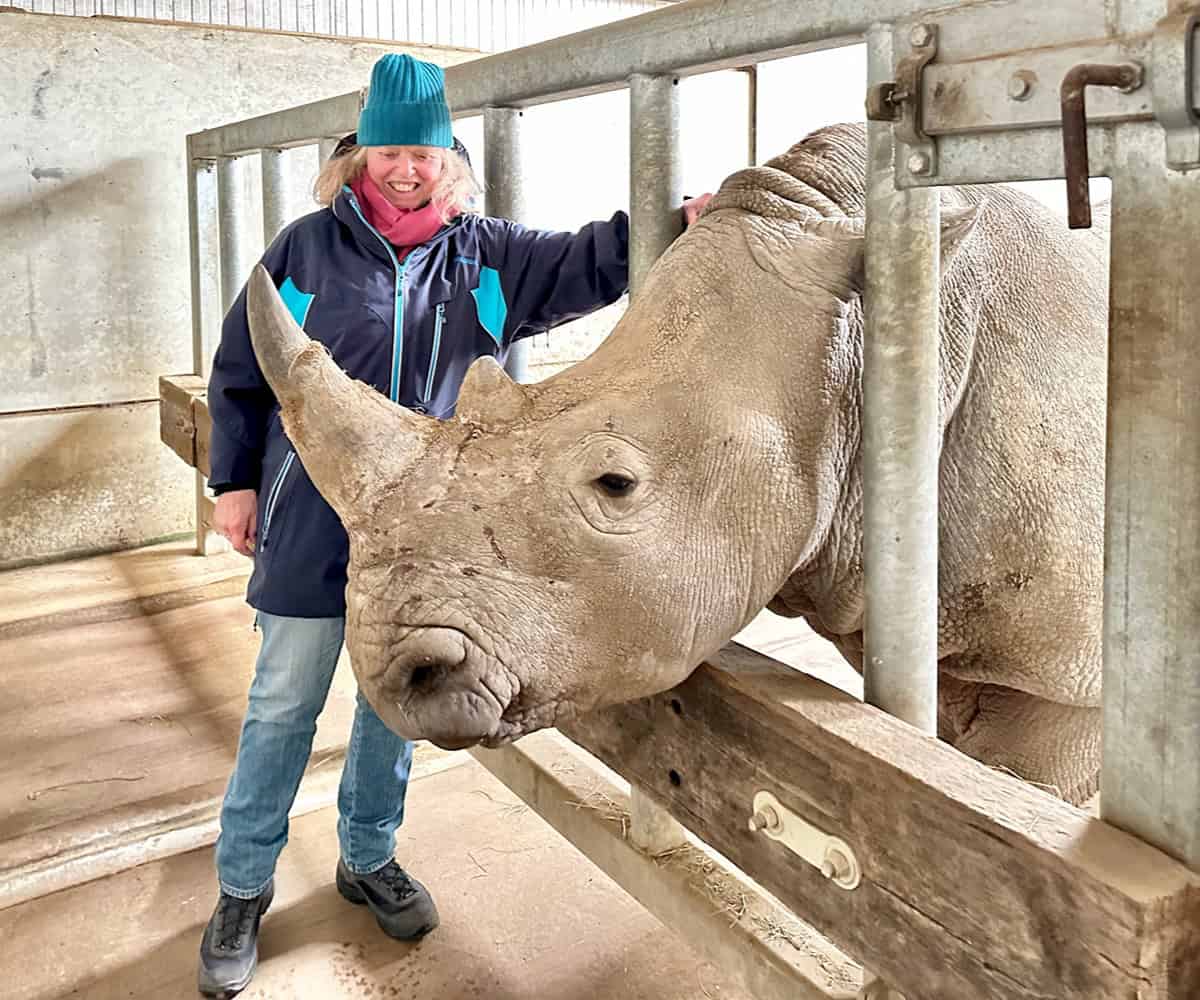 Meeting-a-Southern-White-Rhino-at-the-Cotswolds-Willife-Park.jpg