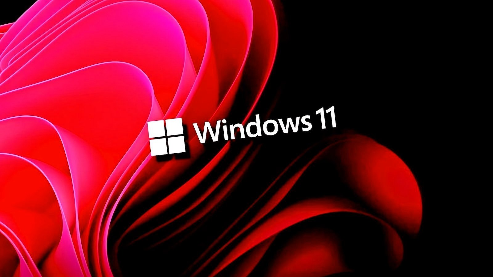 Windows-11.jpg