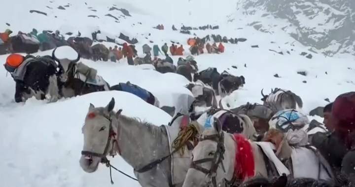 Hundreds of climbers stranded on Mount Everest amid freak blizzard - National