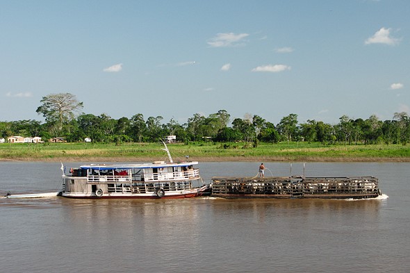 a_riverboat_pushes_a_barge_loaded_with_cattle_on_the_amazon_river_in_brazil.jpeg