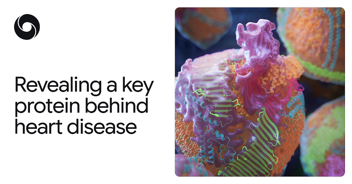 AlphaFold-Reveals-a-Key-Protein-Behind-Heart-Disease.png