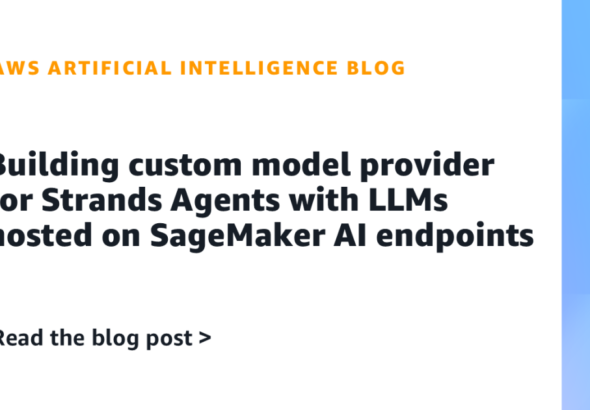Building-custom-model-provider-for-Strands-Agents-with-LLMs-hosted.png