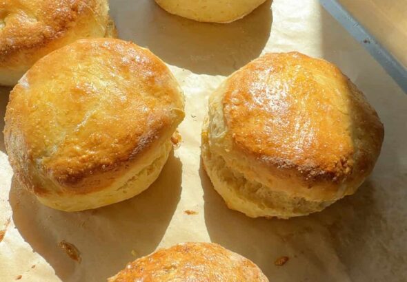 सुनहरे शीर्ष के साथ ताजा बेक्ड ब्रिटिश स्कोन।