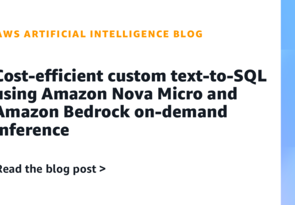 Cost-efficient-custom-text-to-SQL-using-Amazon-Nova-Micro-and-Amazon-Bedrock.png