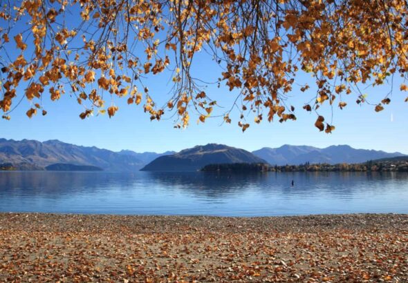 Lake-Wanaka-Autumn-2-SLT-2-1.jpg