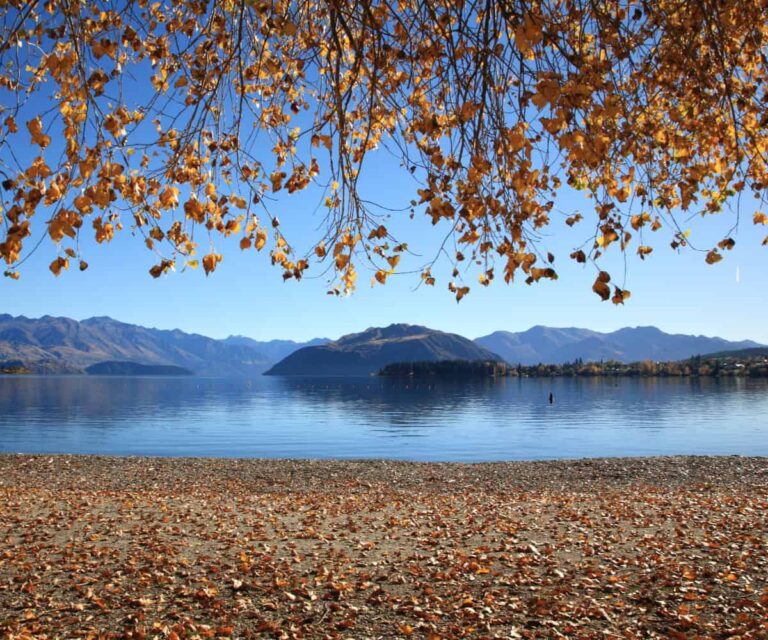 Lake-Wanaka-Autumn-2-SLT-2-1.jpg